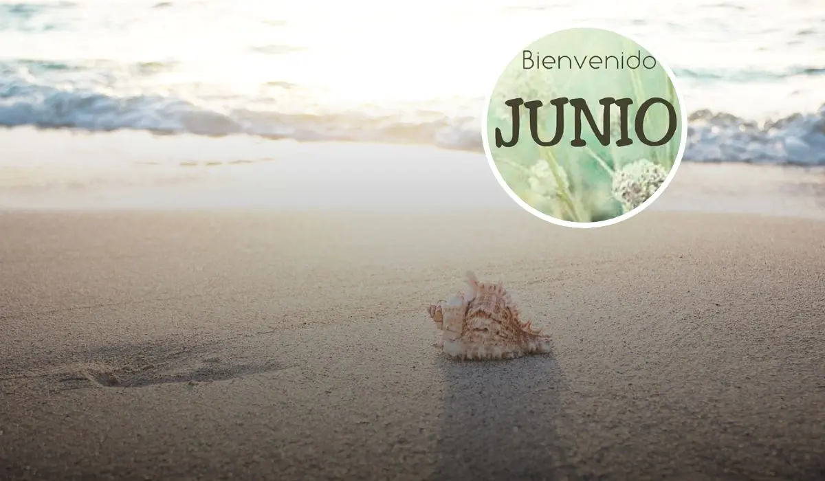 Bonitas frases para recibir el mes de junio