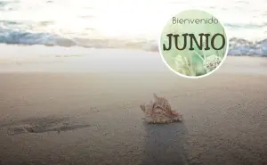 Frases para recibir el mes de junio