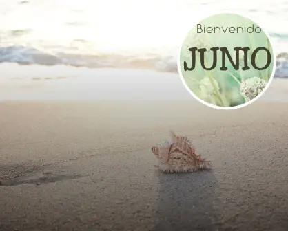Frases para recibir el mes de junio