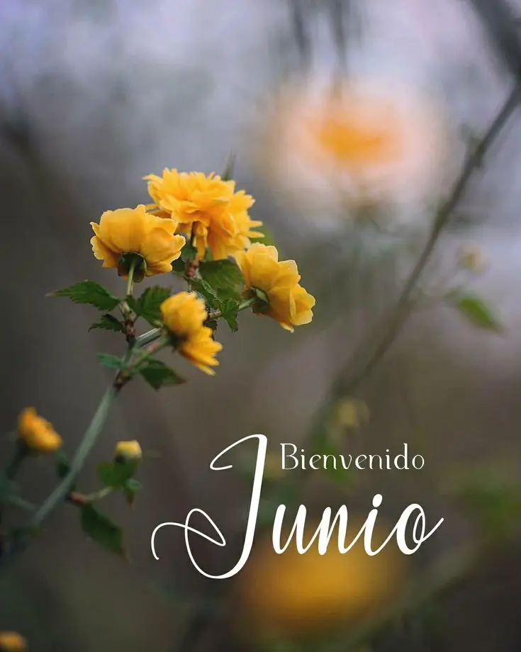 imagen recuadro Frases para dar la bienvenida al mes de junio