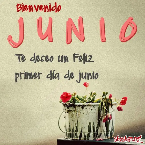 imagen recuadro Frases para dar la bienvenida al mes de junio