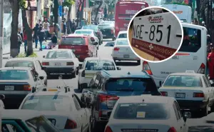 Personaliza las placas de tu auto en Edomex: pasos fáciles para lograrlo y cuanto cuesta