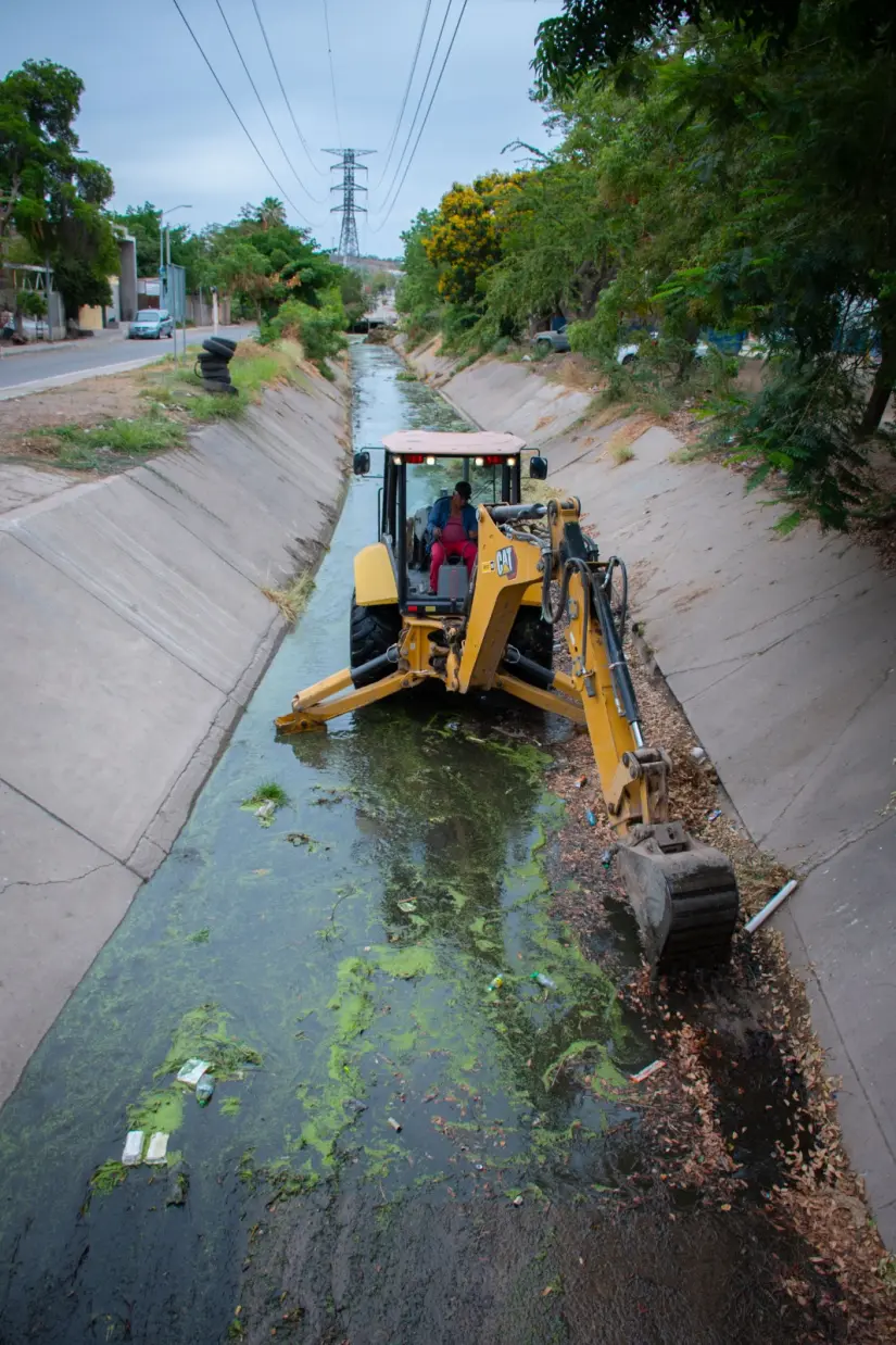 Realizan limpieza y desazolve en arroyos y canales de Culiacán Realizan limpieza y desazolve en arroyos y canales de Culiacán
