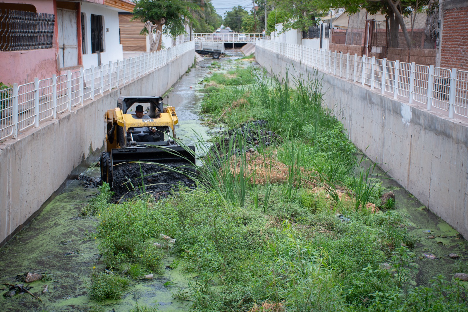 Imagen 7