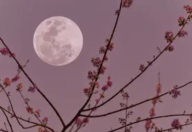 ¿Cuándo será la Luna llena de junio 2025? Descubre la fecha y su significado