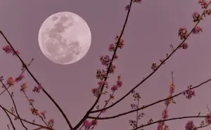 ¿Cuándo será la Luna llena de junio 2025? Descubre la fecha y su significado
