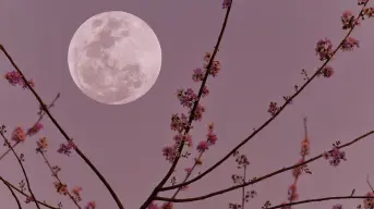 ¿Cuándo será la Luna llena de junio 2025? Descubre la fecha y su significado