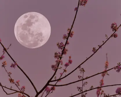 ¿Cuándo será la Luna llena de junio 2025? Descubre la fecha y su significado