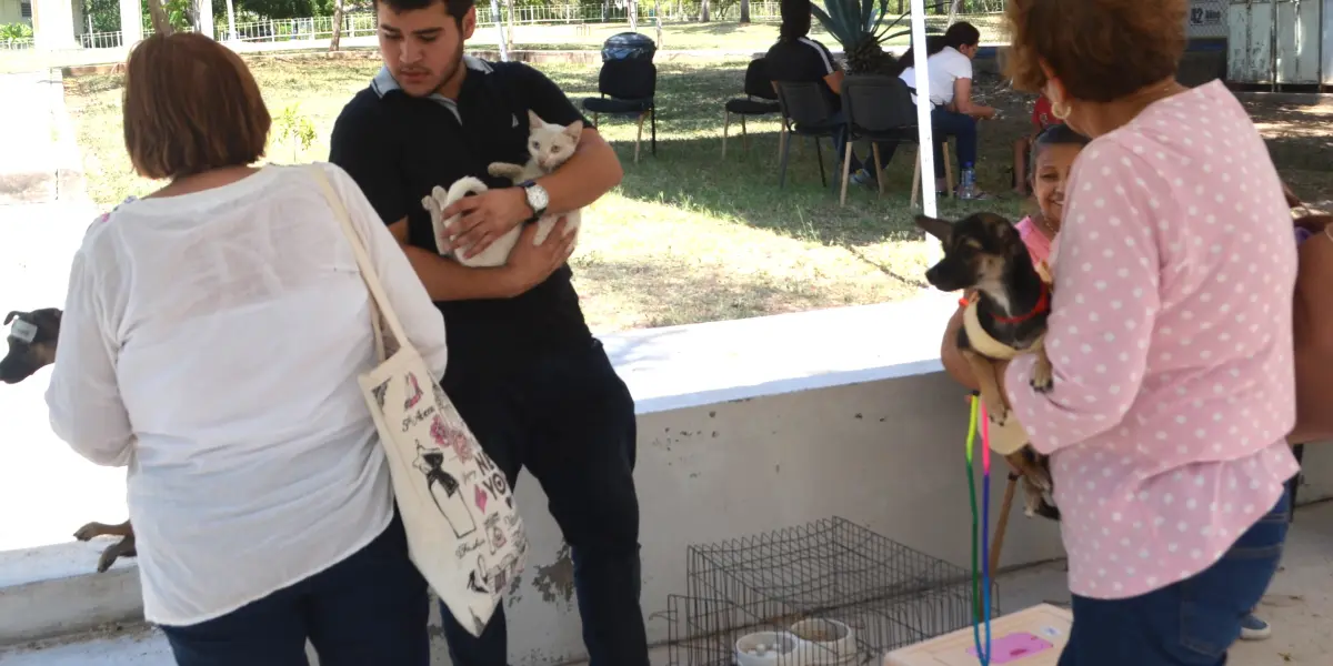 La Facultad de Medicina Veterinaria y Zootecnia de la UAS se convirtió en un espacio de cuidado y protección para decenas de animales. Foto: Juan Madrigal