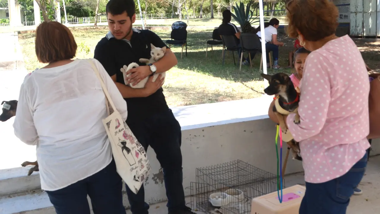 La Facultad de Medicina Veterinaria y Zootecnia de la UAS se convirtió en un espacio de cuidado y protección para decenas de animales. Foto: Juan Madrigal