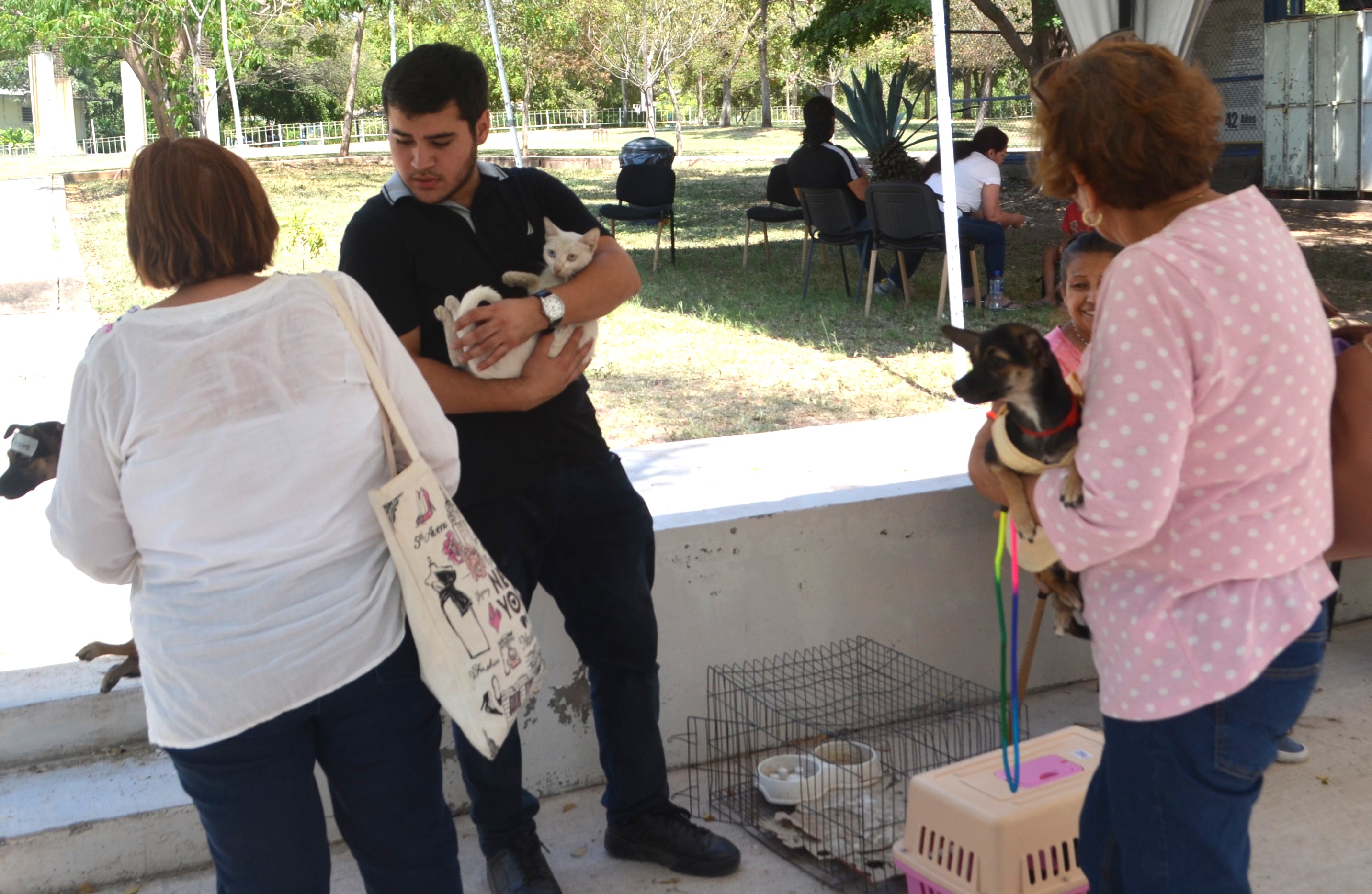 Imagen 14