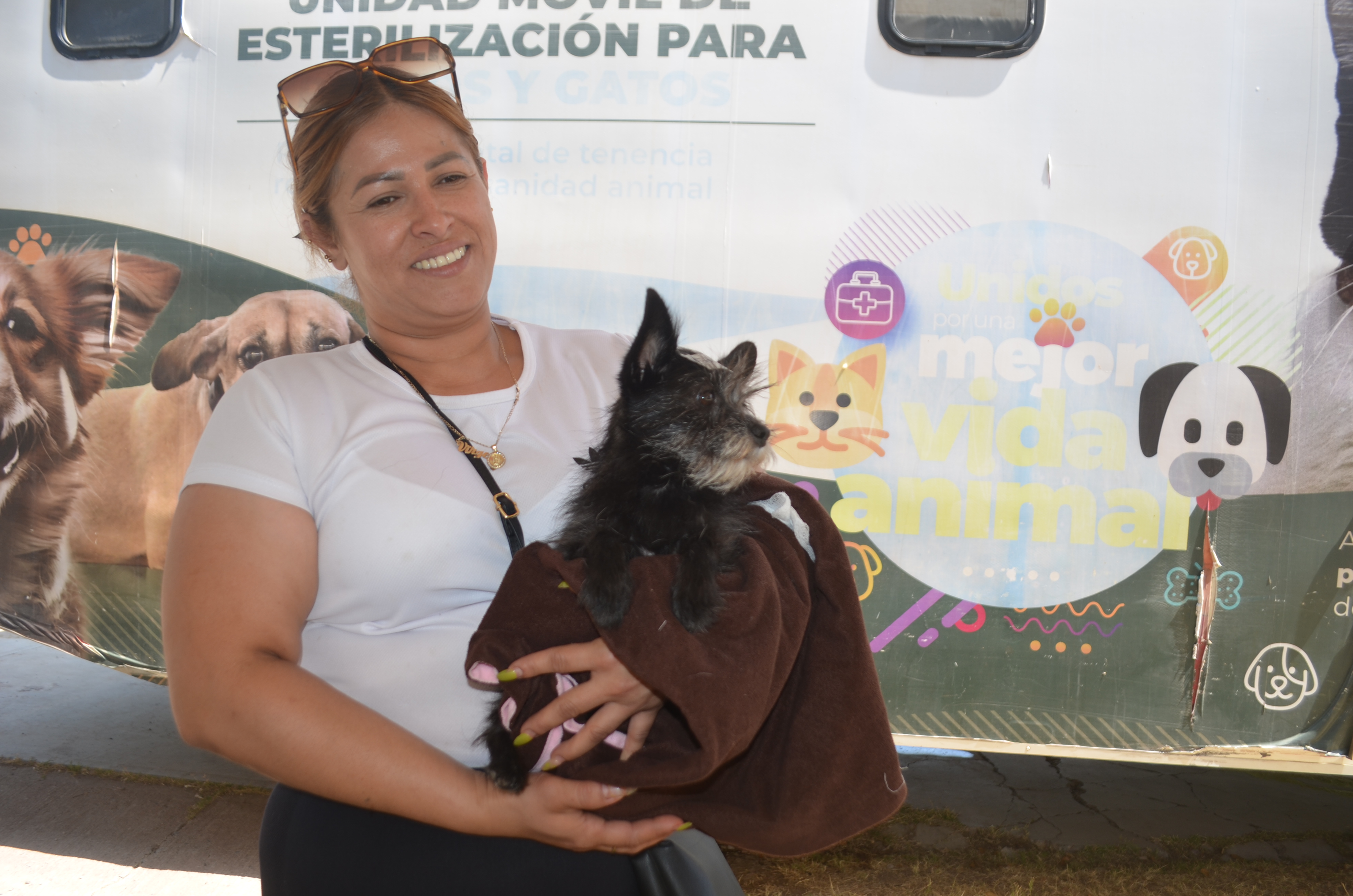 Imagen 15