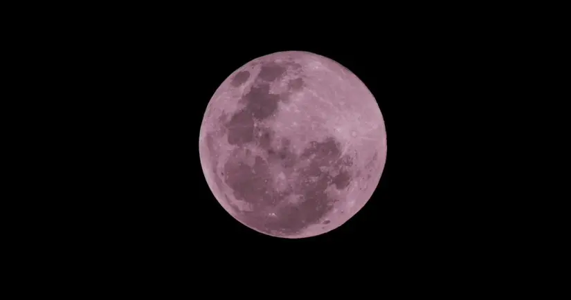 imagen recuadro La luna de fresa coincidia con la temporada de cosecha de fresas Foto: PEXELS