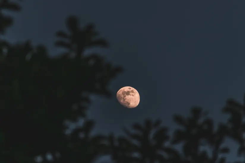 Luna de Fresa 2025: ¿Cuándo y cómo observarla desde México? La Luna de Fresa es de los eventos astronómicos más esperados de junio. Foto: Freepik