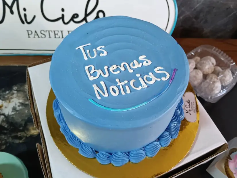 La idea principal de Blanca Estela era realizar pequeños pastelitos decorativos. La idea principal de Blanca Estela era realizar pequeños pastelitos decorativos. Sus clientas la impulsaron para hacer trabajos en grande.