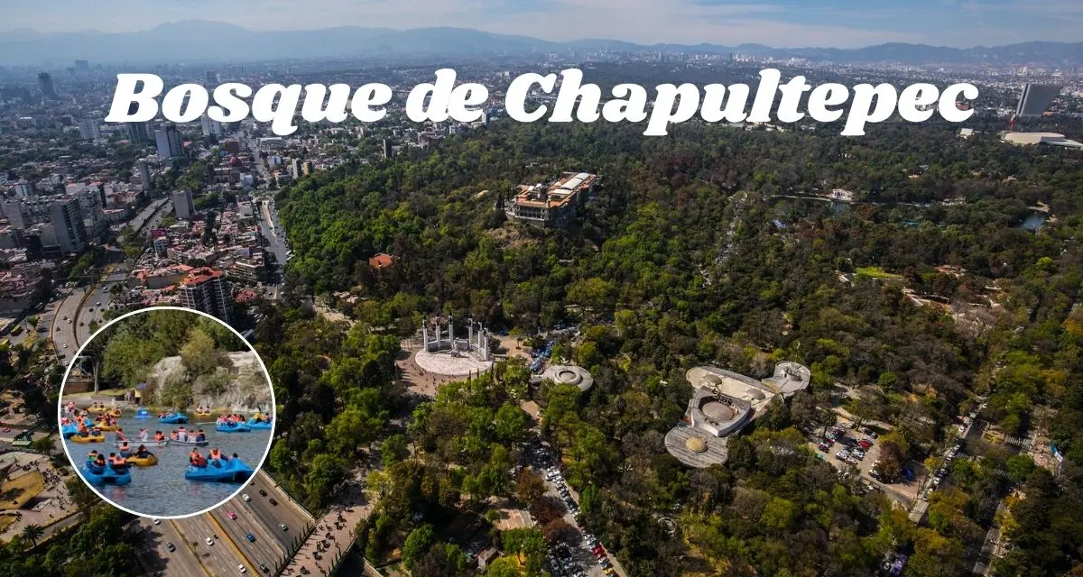 Actividades gratis en el Bosque de Chapultepec en CDMX. Foto: cortesía