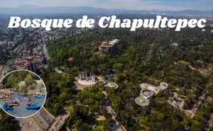 5 actividades que puedes disfrutar completamente gratis en el Bosque de Chapultepec en CDMX