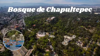 5 actividades que puedes disfrutar completamente gratis en el Bosque de Chapultepec en CDMX