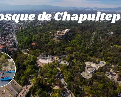 5 actividades que puedes disfrutar completamente gratis en el Bosque de Chapultepec en CDMX