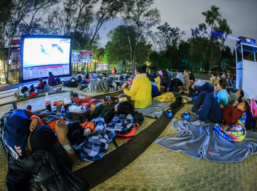 Ciclo de cine en el Bosque de Chapultepec. Foto: cortesía.