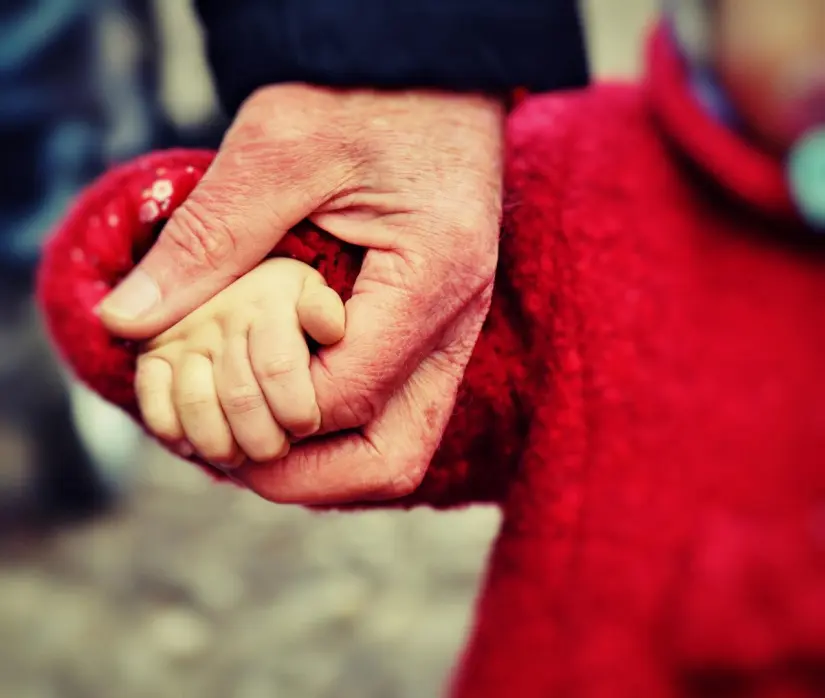 La CNDH se encarga de proteger ante situaciones de violencia, atiende a emigrantes y vasos de desaparición y además de que sea valido los derechos básicos Foto: Pixabay