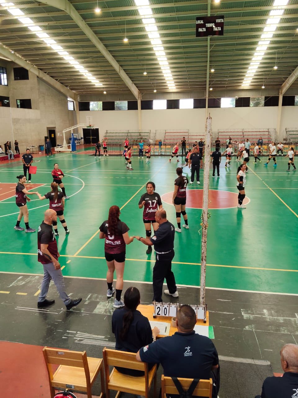 Imagen 7