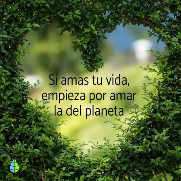 imagen recuadro Frases para reflexionar en el el Día Mundial del Medio Ambiente