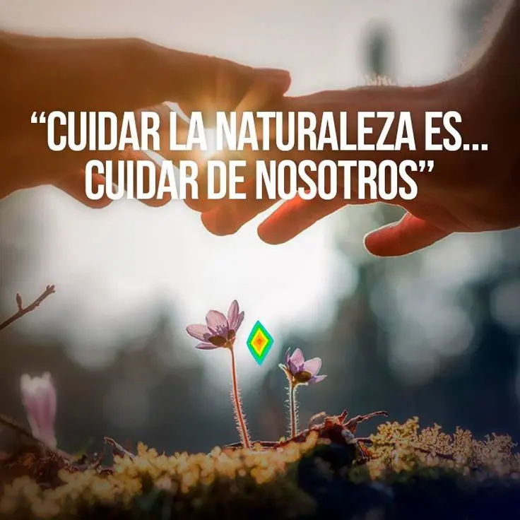 imagen recuadro Frases para reflexionar en el el Día Mundial del Medio Ambiente