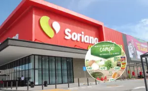Martes y Miércoles del Campo en Soriana: lista de ofertas en frutas y verduras 15 y 16 de julio