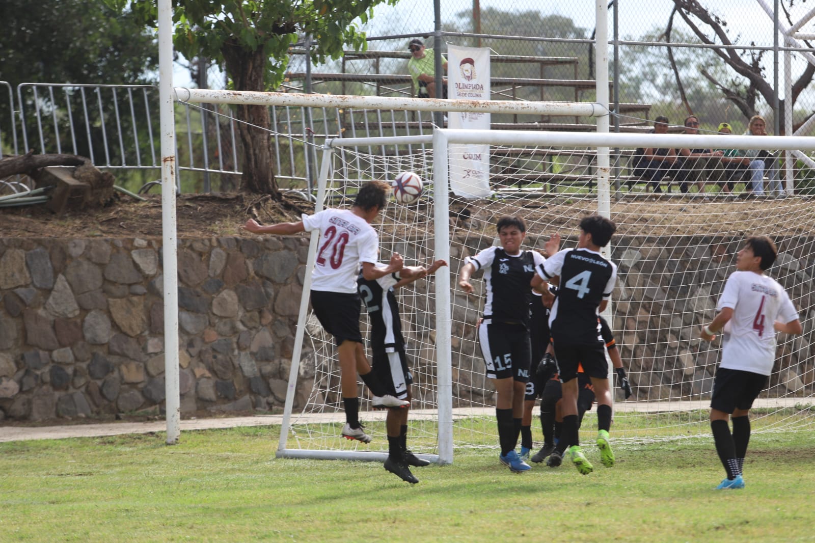 Imagen 14