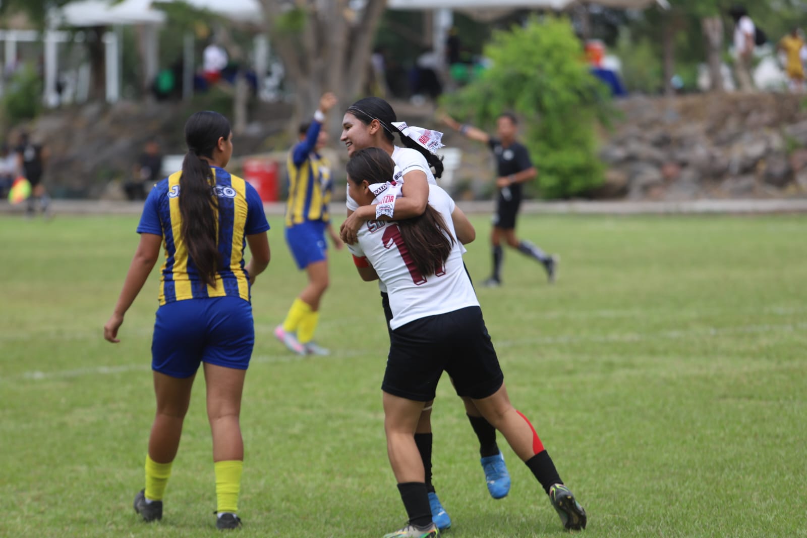 Imagen 21