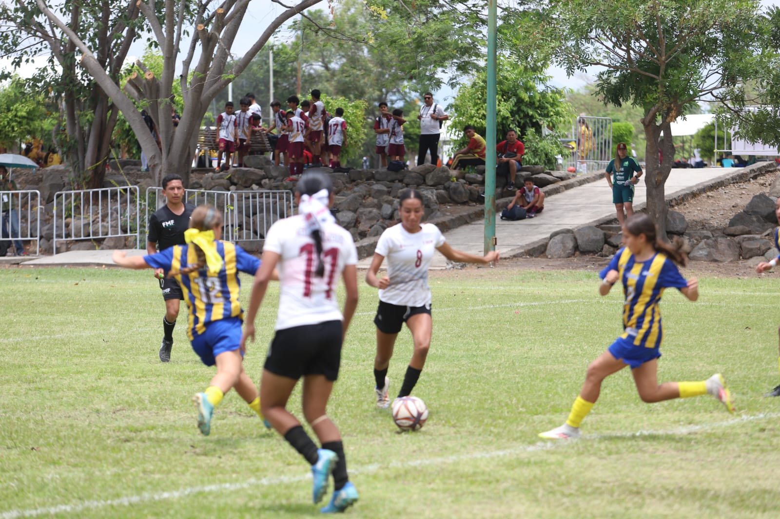 Imagen 20