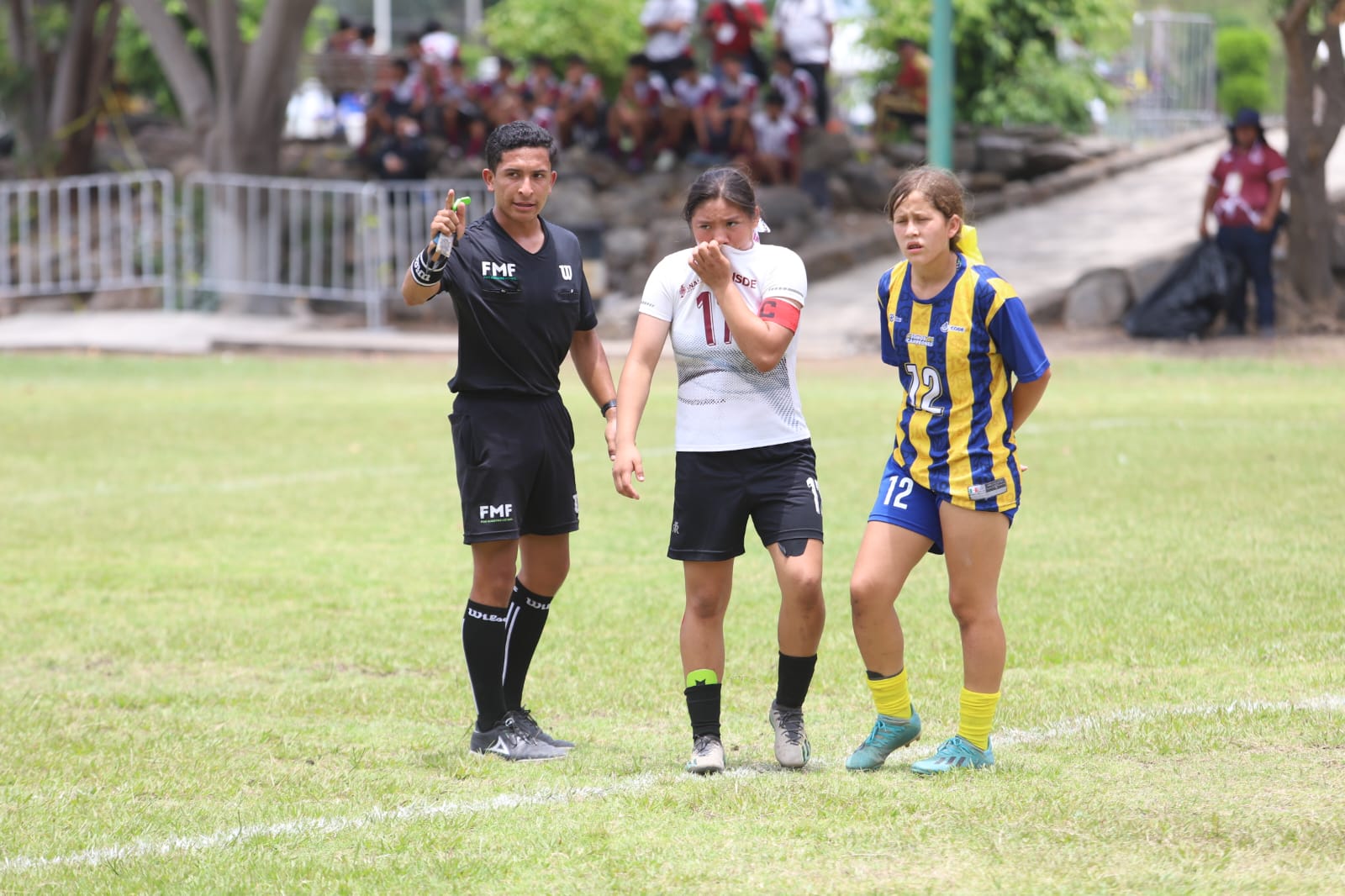 Imagen 19