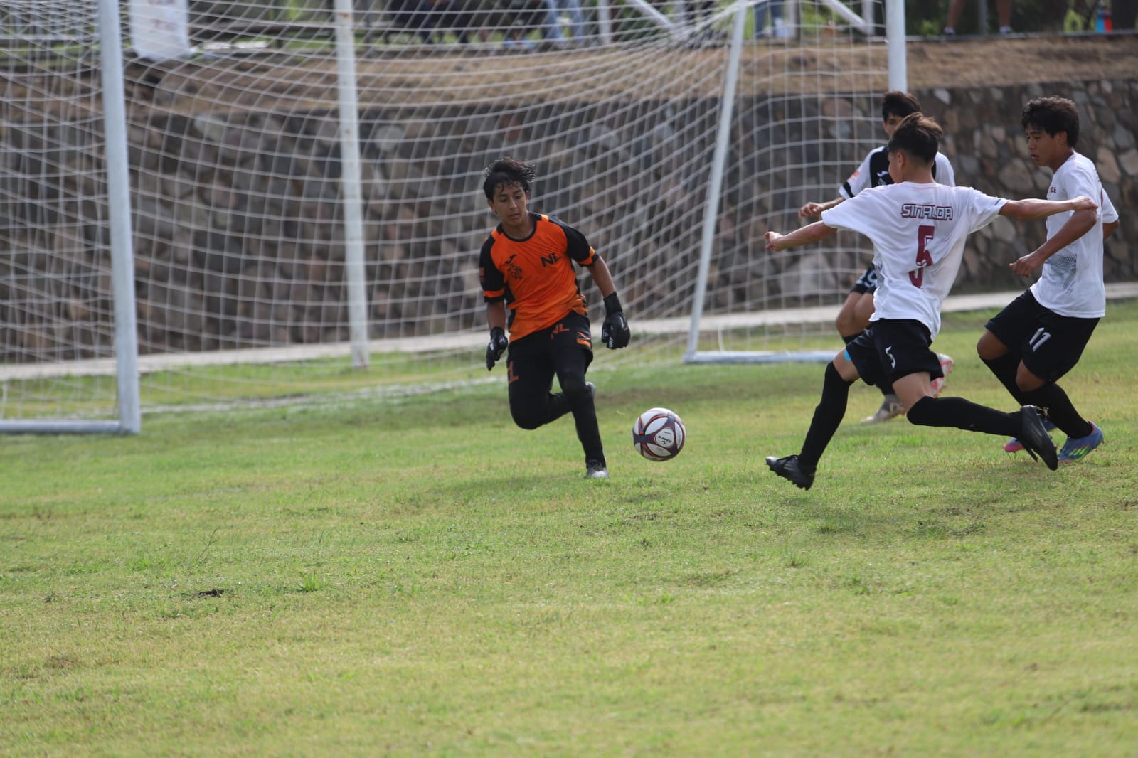 Imagen 29