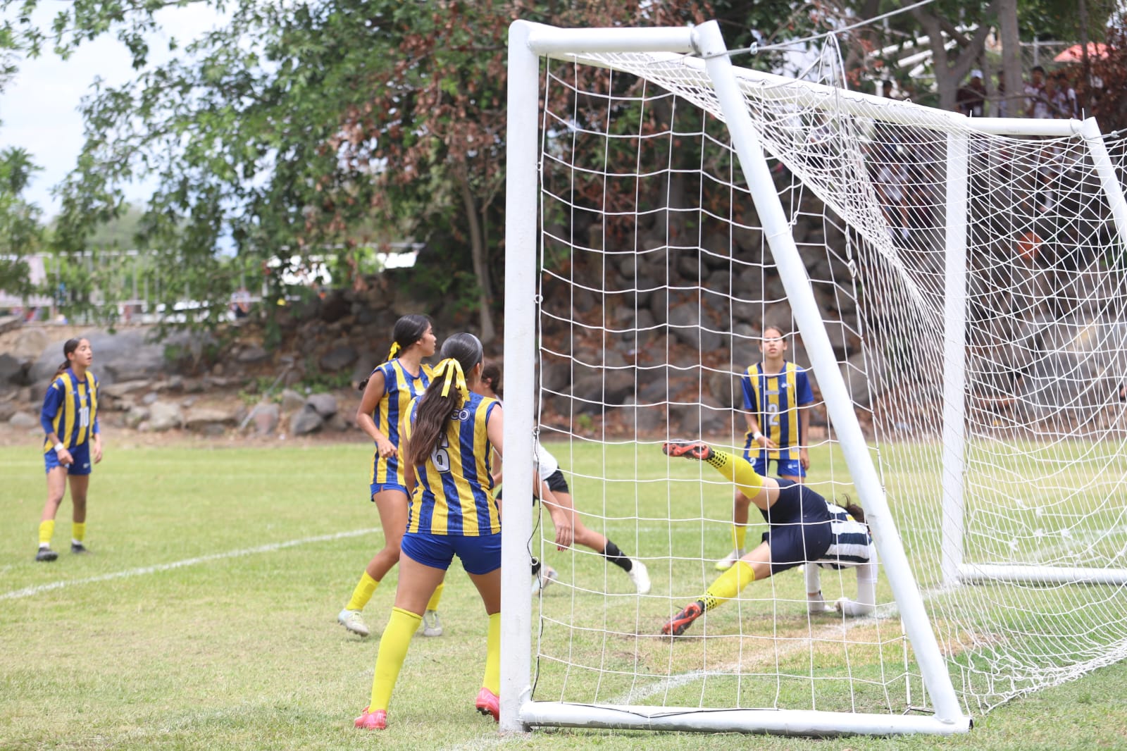 Imagen 3