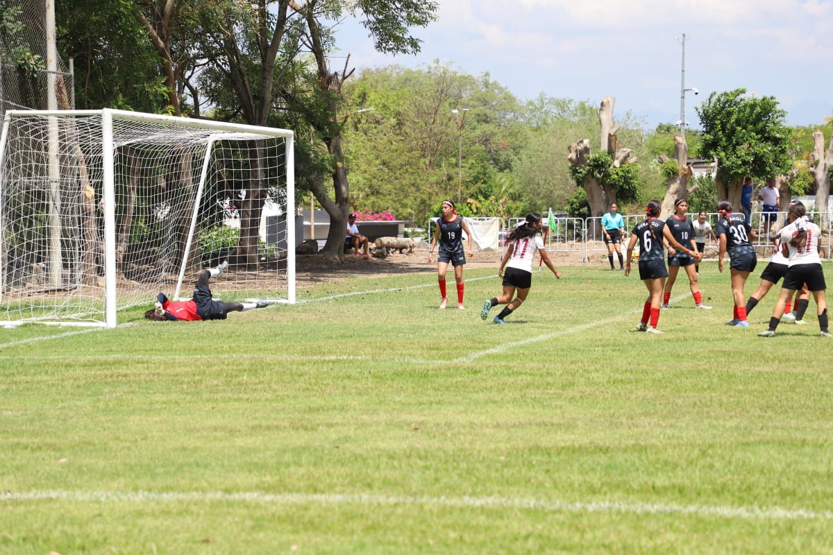 Imagen 11