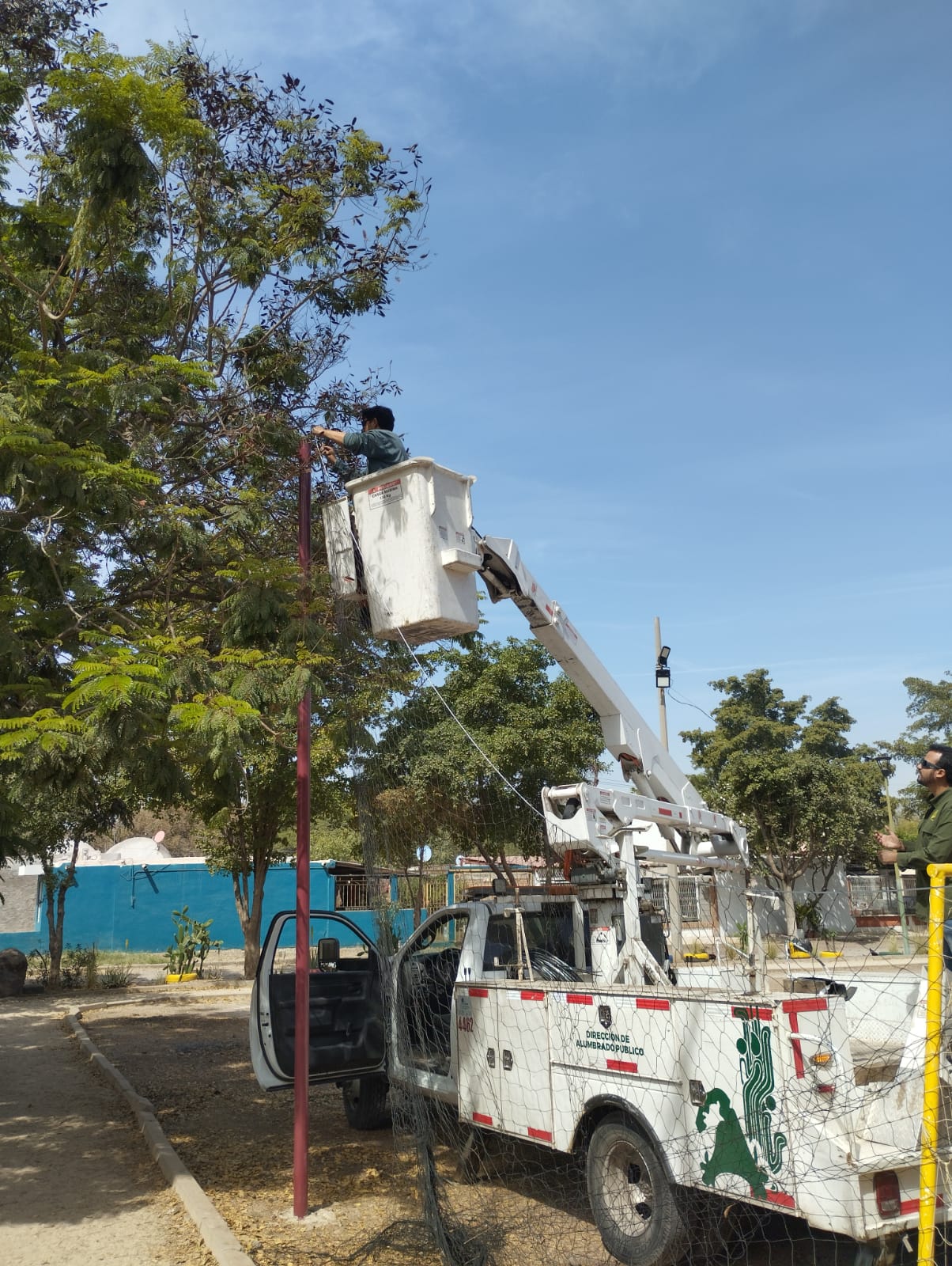 Imagen 2