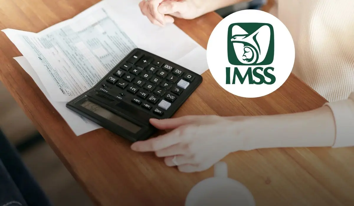 De cuánto años se necesita solicitar el retiro IMSS con 500 semanas cotizadas Foto: Pixabay