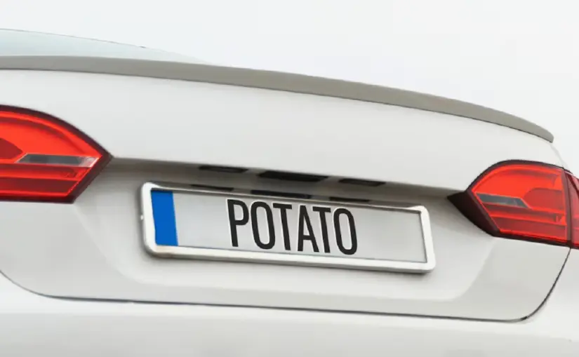 Cuánto cuesta personalizar las placas del auto en México Así funcionan las placas especiales del EdoMex. Foto: Unsplash