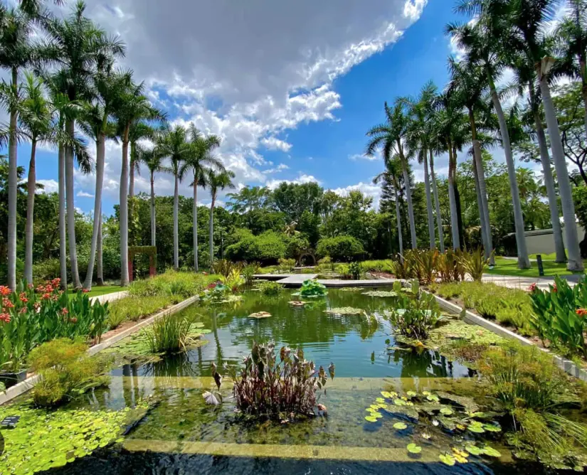 Jardín Botánico de Culiacán. Foto: cortesía Jardín Botánico de Culiacán. Foto: cortesía.