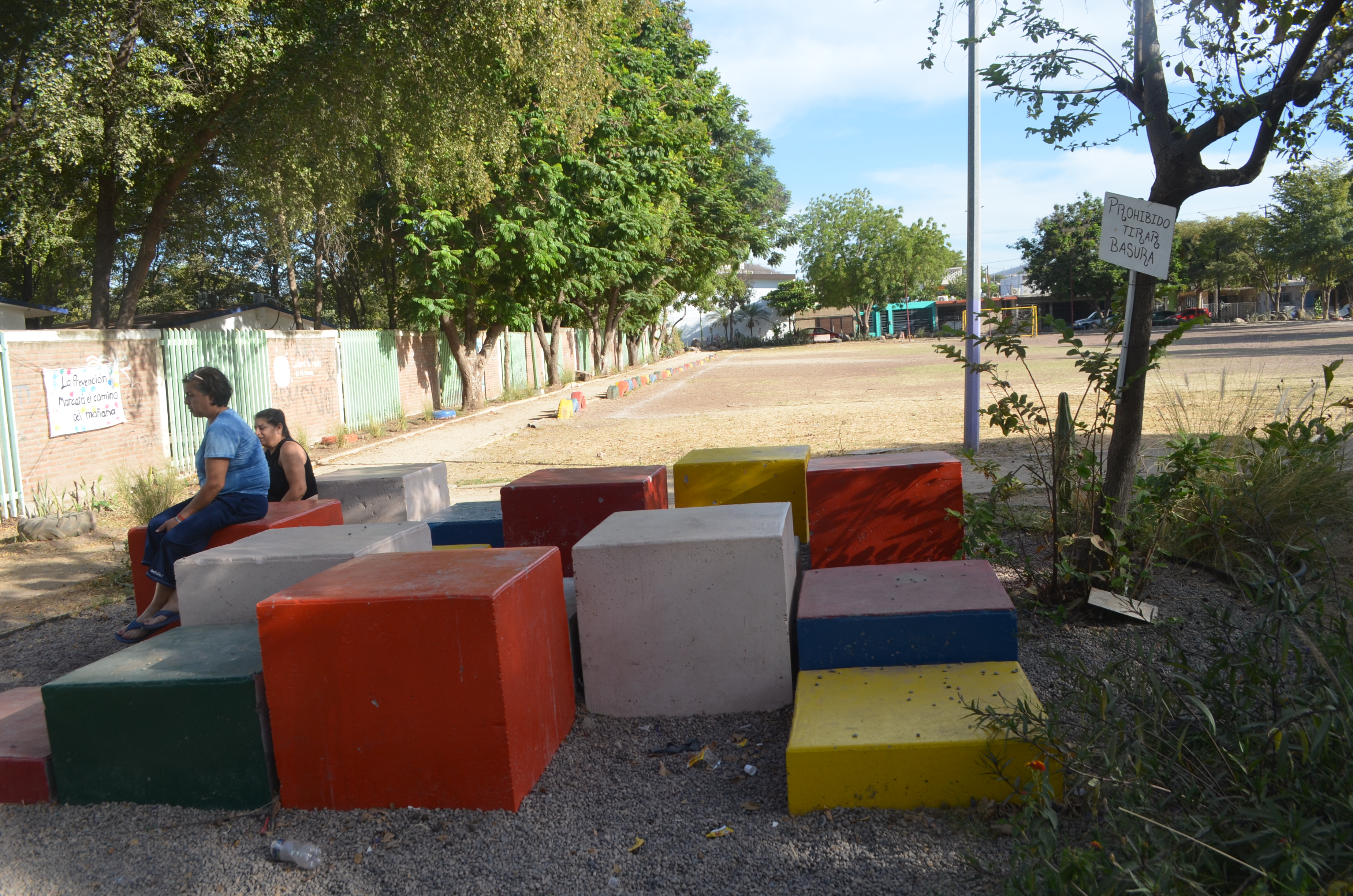 Imagen 6