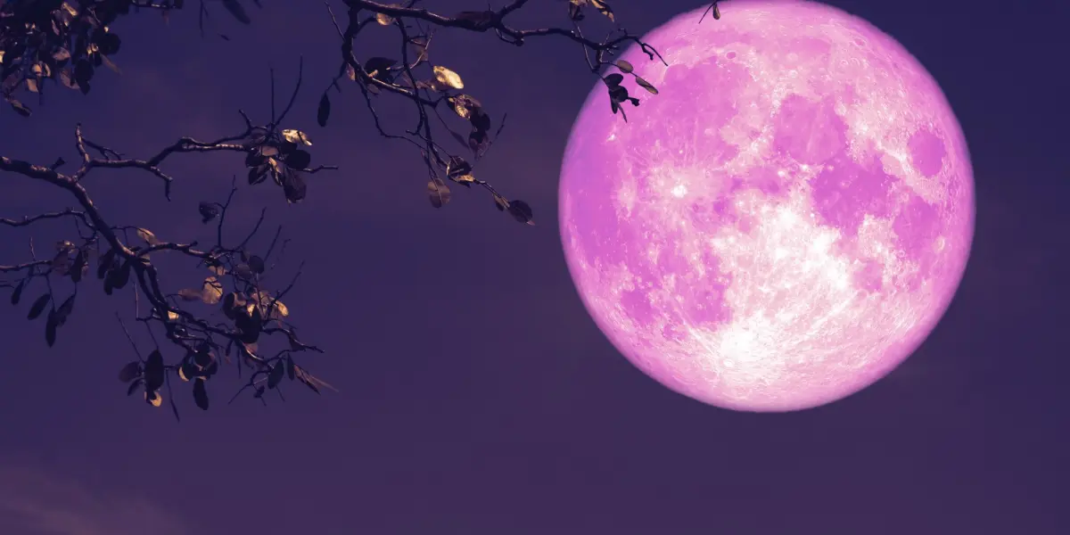 Luna de Fresa en junio