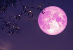 Luna de Fresa 2025: ¿a qué hora se podrá ver este fenómeno desde México?