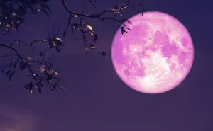 Luna de Fresa 2025: ¿a qué hora se podrá ver este fenómeno desde México?