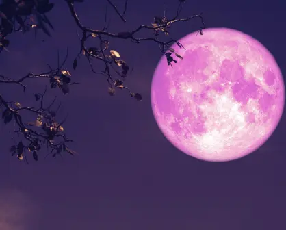 Luna de Fresa 2025: ¿a qué hora se podrá ver este fenómeno desde México?