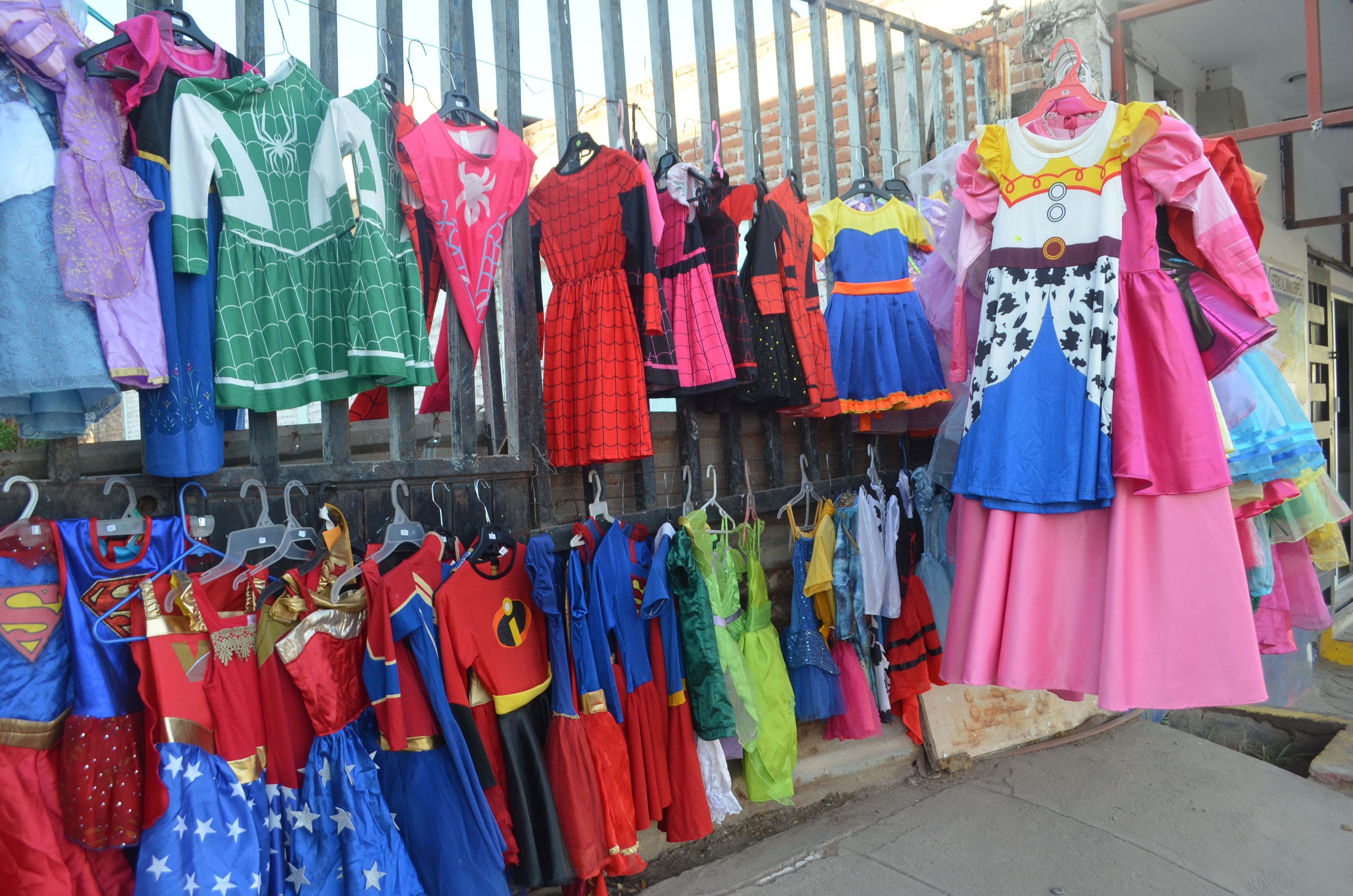 Imagen 15