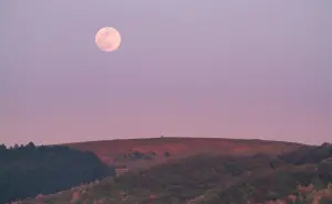 Romántica, intensa y rosada: así se verá la Luna de Fresa 2025 en estos estados