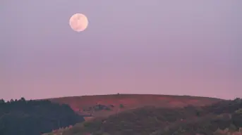 Romántica, intensa y rosada: así se verá la Luna de Fresa 2025 en estos estados