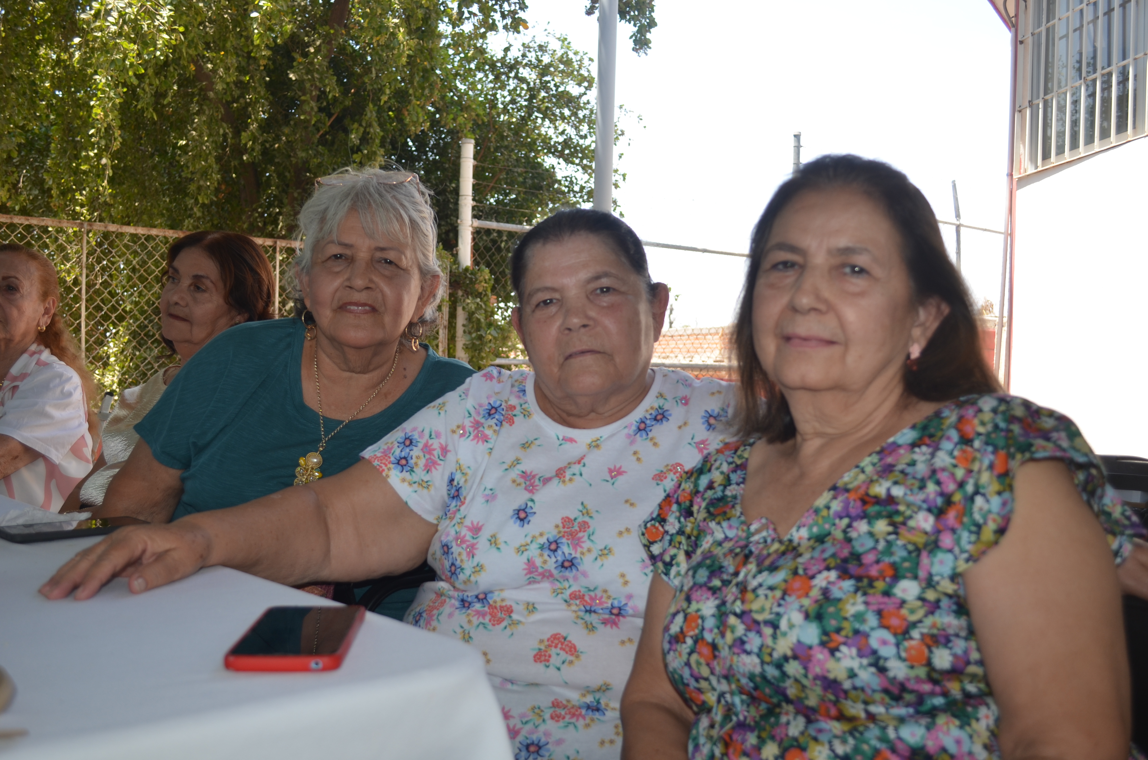 Imagen 10