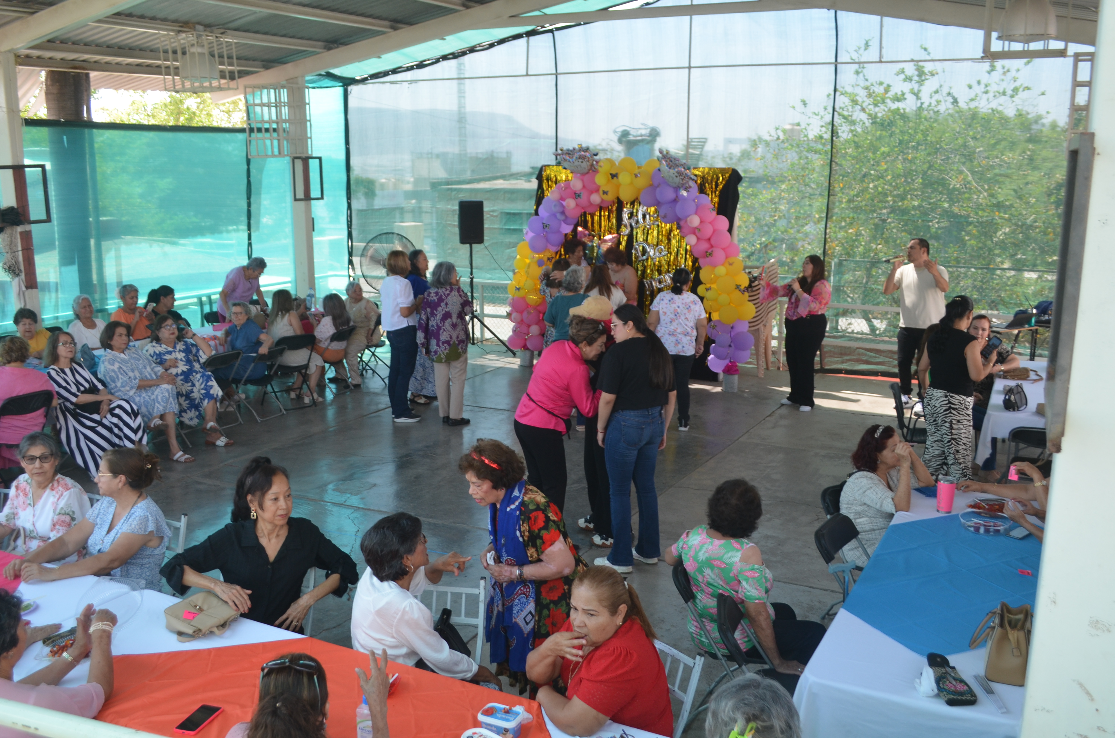 Imagen 25